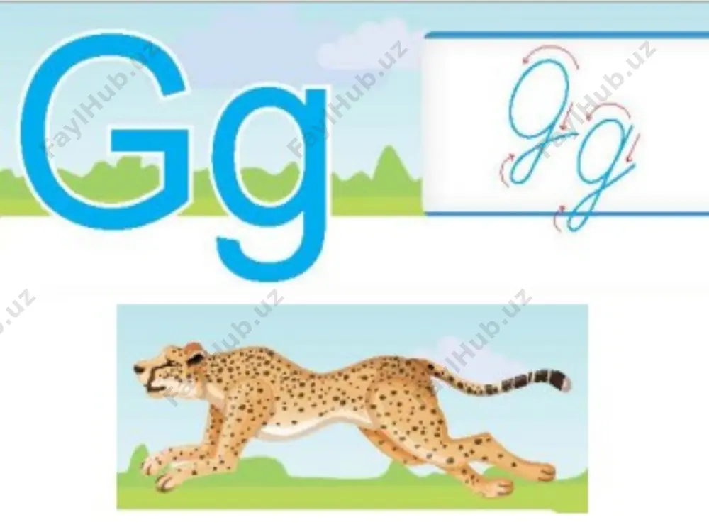 katta g — PPTX