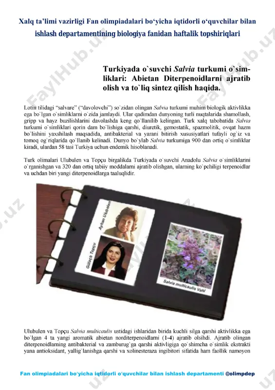 icho darajasidagi masalalar ν1 — PDF