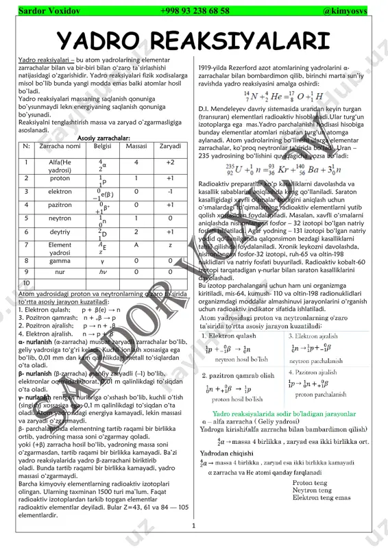 yadro rekasiyalari 2024 yechimlar — PDF