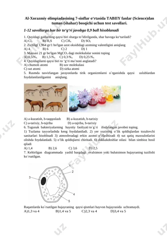 al-xorazmiy science g7 savollari (1) — DOCX