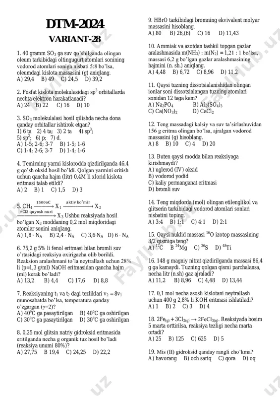 2024 - dtm variant -28 — PDF