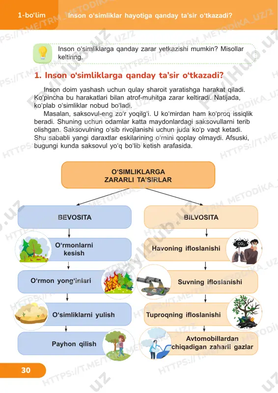 4sinf tabiiy fan darslik 7-9 dars — PDF