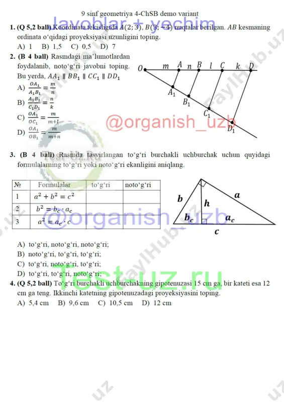 9 sinf geom chsb-4 demo — DOCX