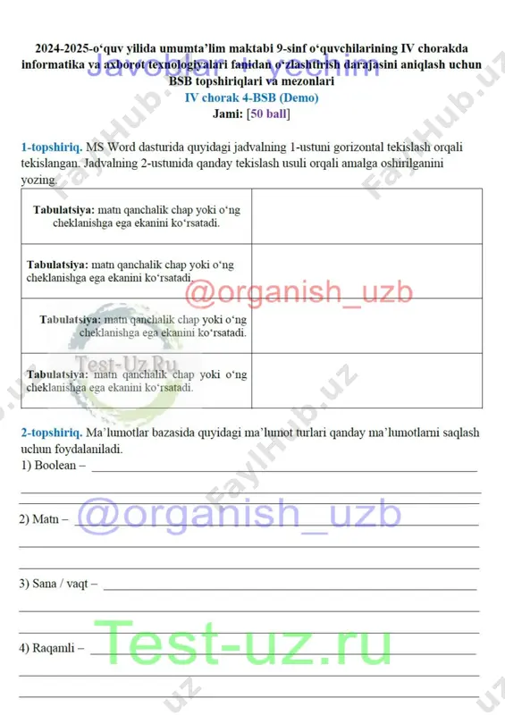 9 sinf informatika bsb-4 demo — DOCX