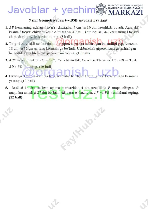 9 sinf geometriya bsb 4 variant 1 — DOCX