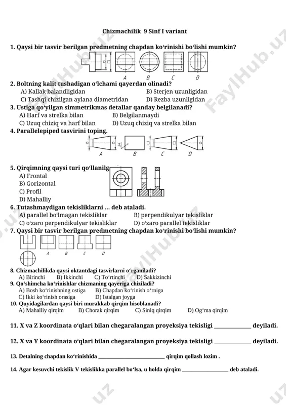 chizmachilik 9 i-ii variant test — DOCX