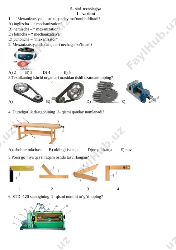 5-sinf o'g'il bolalar rasmli monitoring test — DOCX