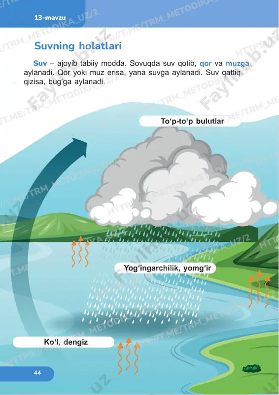 tabiiy fanlar 1sinf oxirgi darslar — PDF