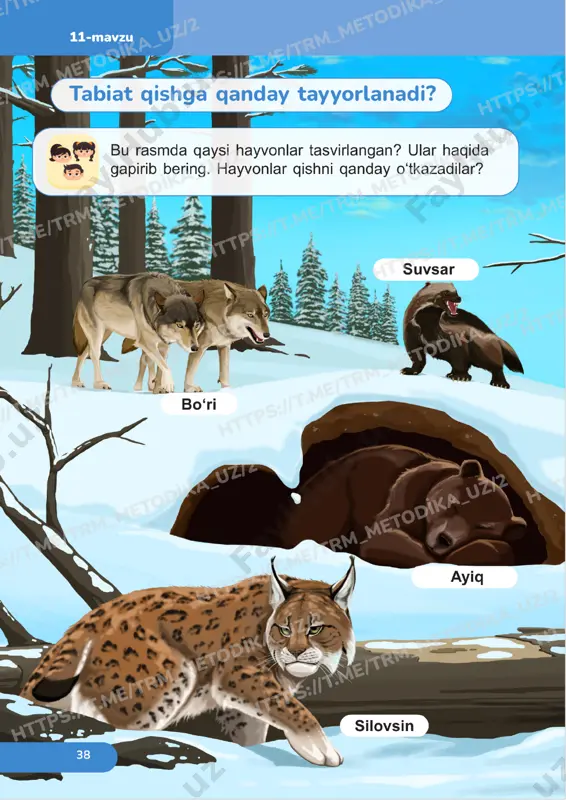 tabiiy fanlar 1sinf 12-13 dars — PDF