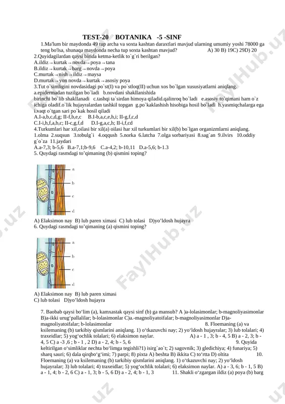 5- sinf botanika 67-maktab — DOCX