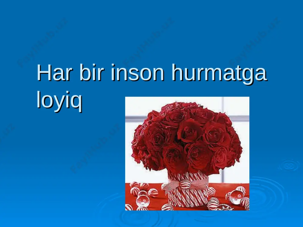 har bir inson hurmatga loyiq — PPT