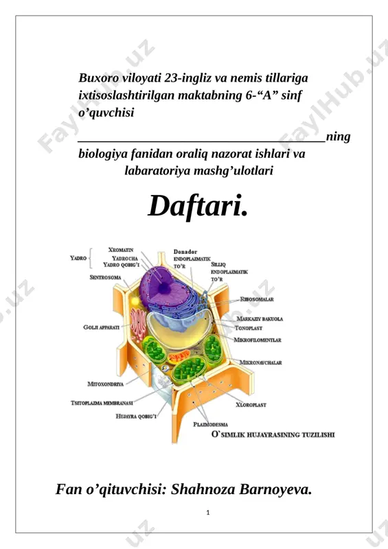 6-sinf labaratoriya va nazorat kitobi — DOCX