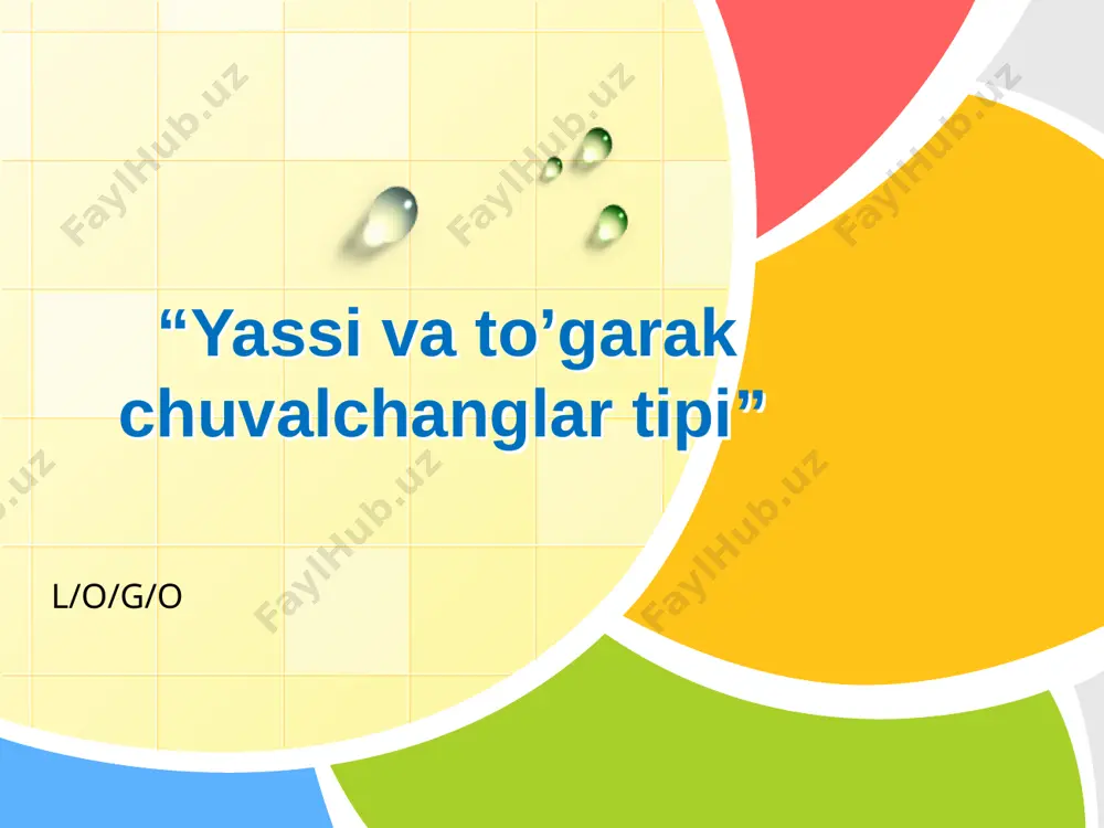 to‘garak chuvalchanglar tipi — PPTX