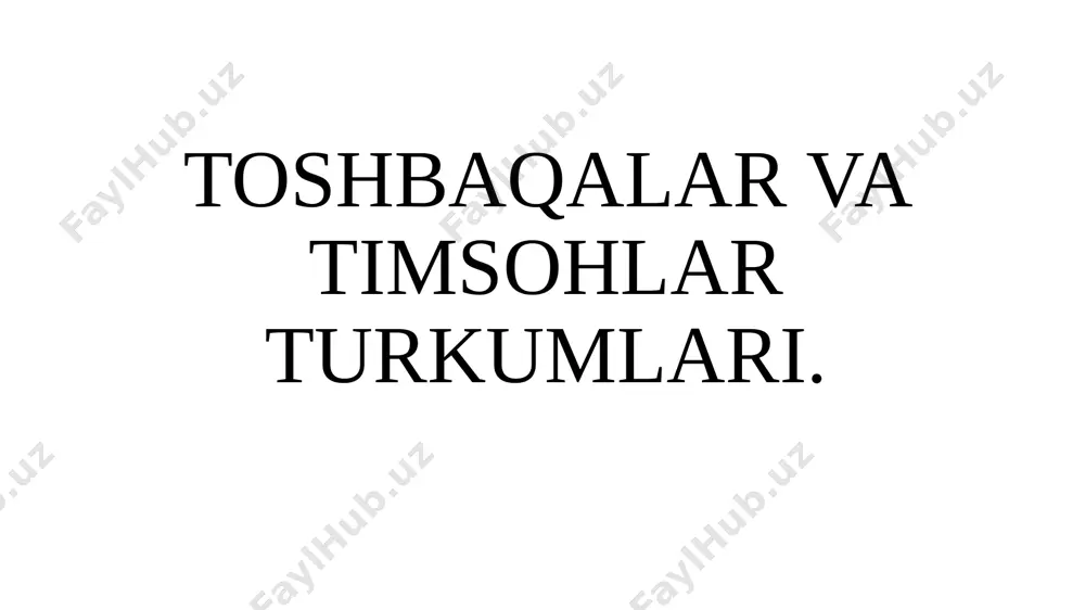toshbaqalar va timsohlar turkumi — PPTX