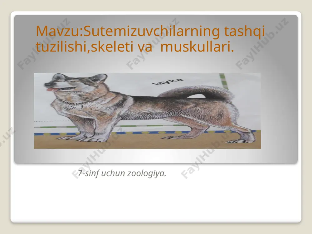 itning tashqi tuzilishi (2) (1) — PPTX