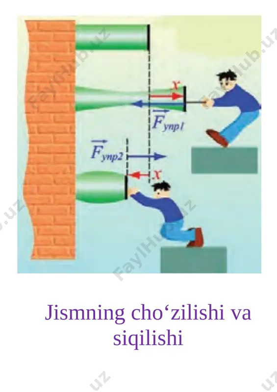 7_fizika_ko‘rgazma — DOCX