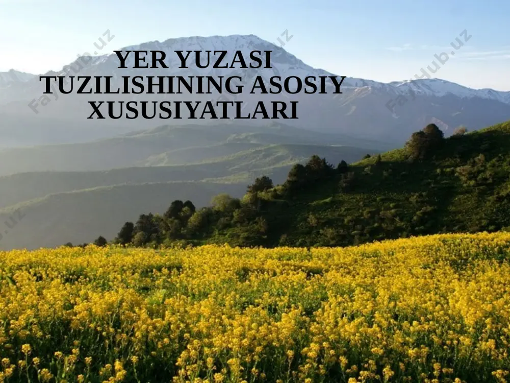 o'rta osiyo yer yuzi xususiyatlari 7 — PPTX