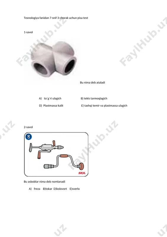 7-snif 3-chorak pisa test — DOCX
