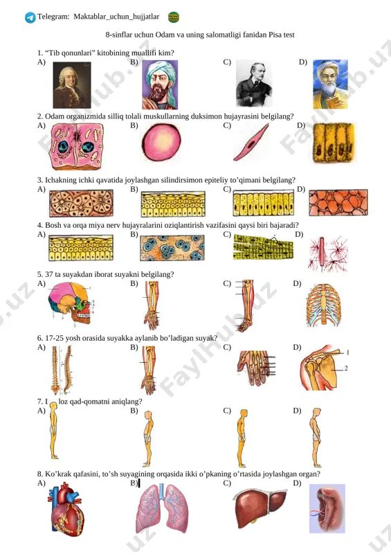 8-sinflar uchun pisa test — DOC