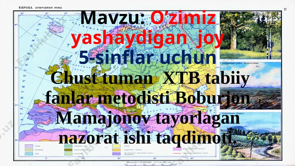 o'zimiz yashaydigan joy. nazorat ishi. — PPTX