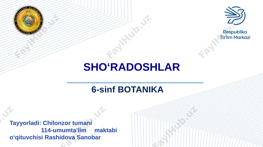sho'radoshlar oilasi — PPTX