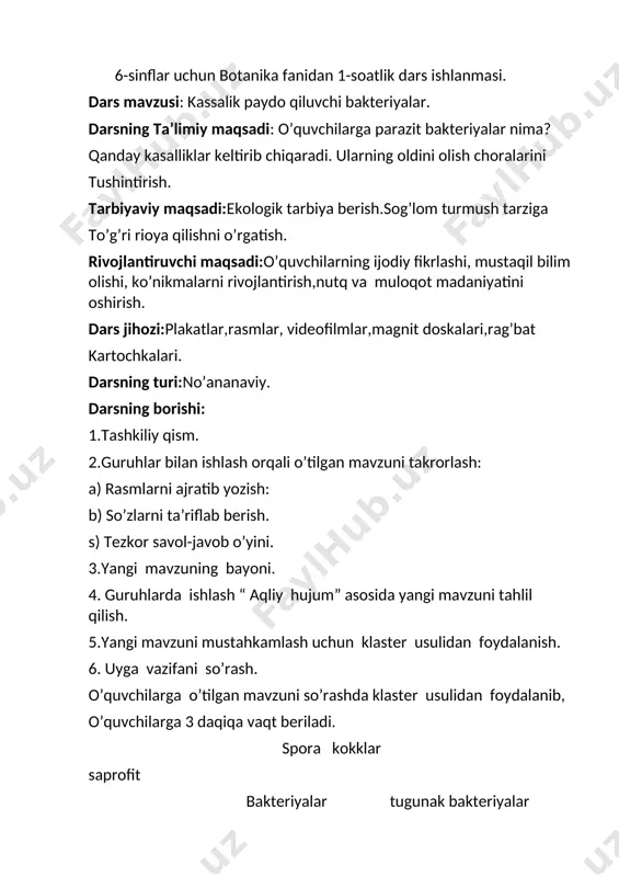 ochiq dars 6 sinf — DOCX