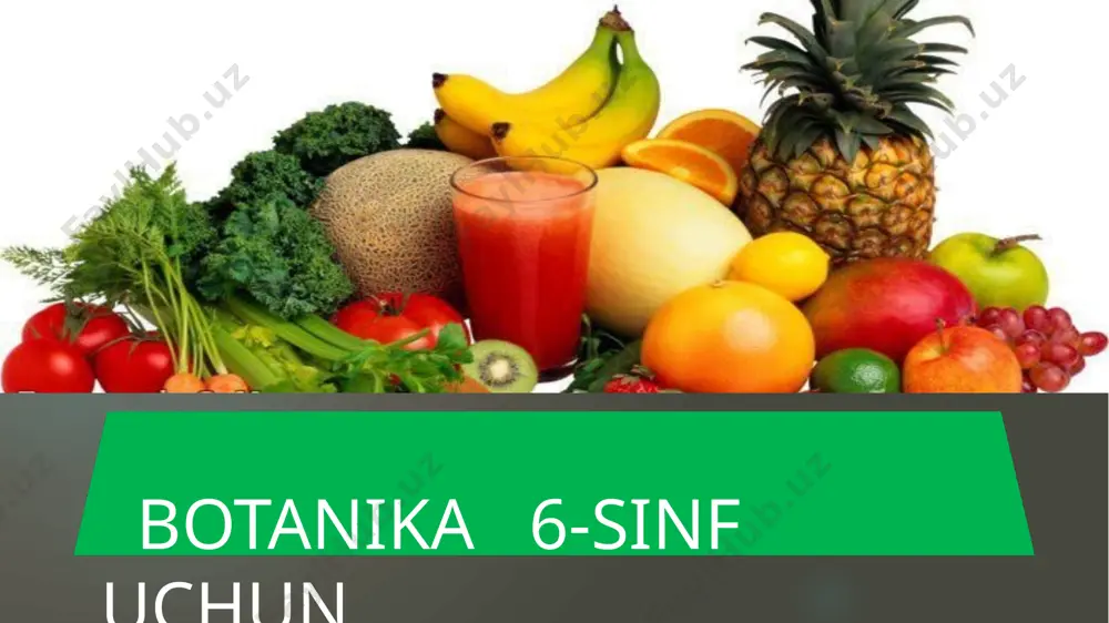 ra'nodoshlar oilasi — PPTX
