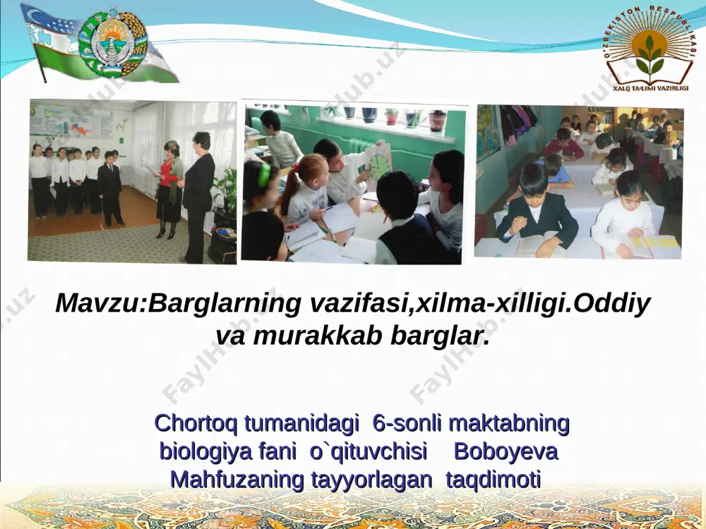 barg tuzilishi — PPT