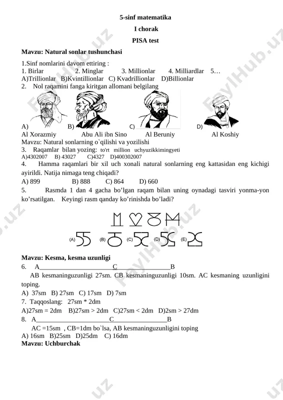 pisa matematika 5-sinf umumiy — DOCX