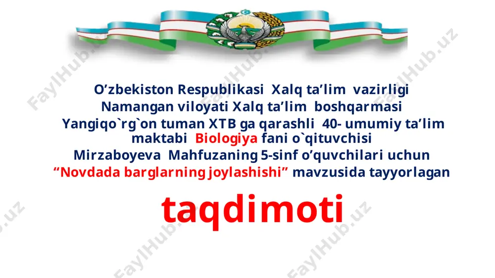 novda (1) — PPTX