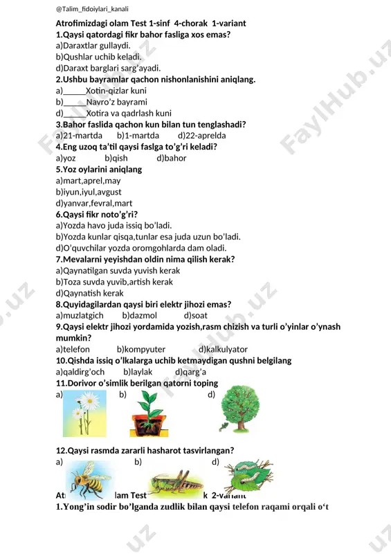 @talim_fidoiylari_kanali_atrofimizdagi_olam_test_1_sinf_4_chorak — DOCX