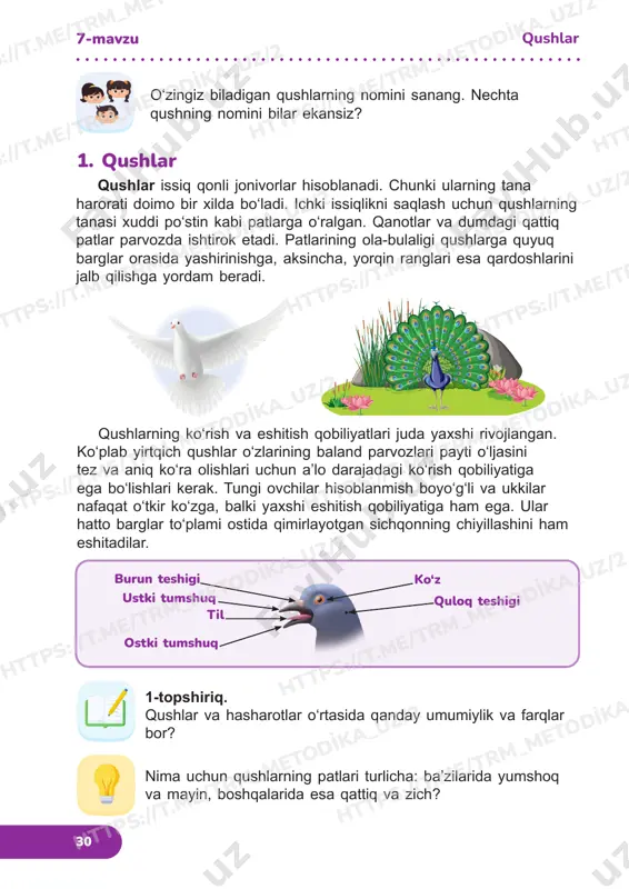 3sinf tabiiy fanlar darslik 7-9 dars — PDF