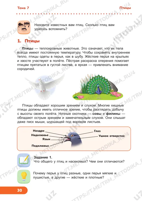 3klass est uchebnik 7-9 uroki — PDF