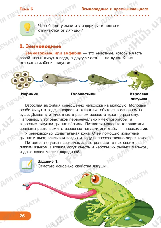 estestvoznanie, 3 klass — PDF