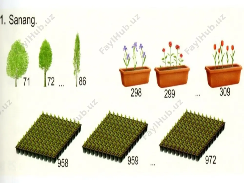 3-sinf matematika 6-dars — PPTX
