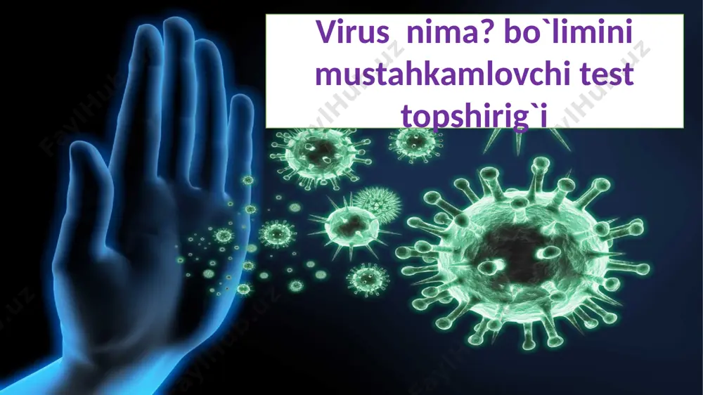 3-sinf.test — PPTX
