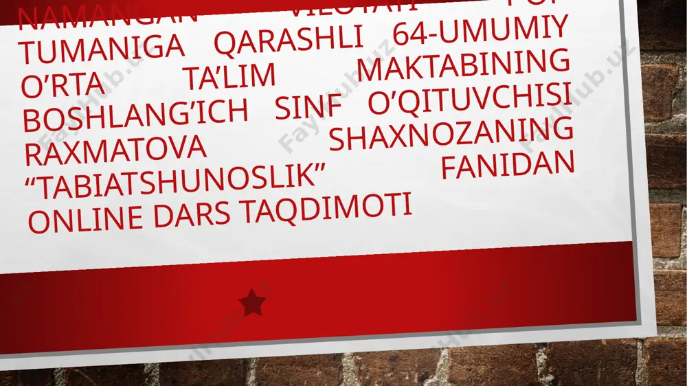 taqdimot raxmatova sh — PPTX