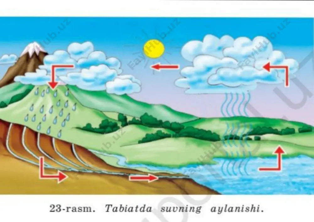 3-sinf tabiat-ko‘rgazma 16-yan-2021 08-31-28 — PDF