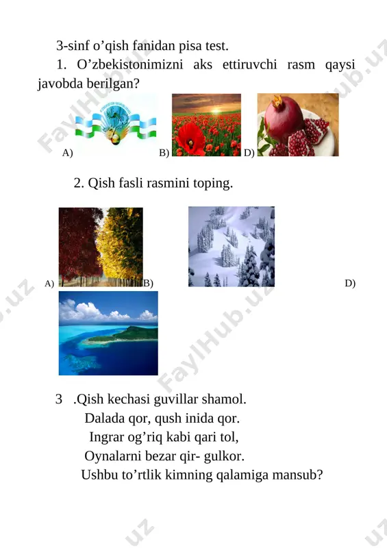 3-sinf pisa test — DOC