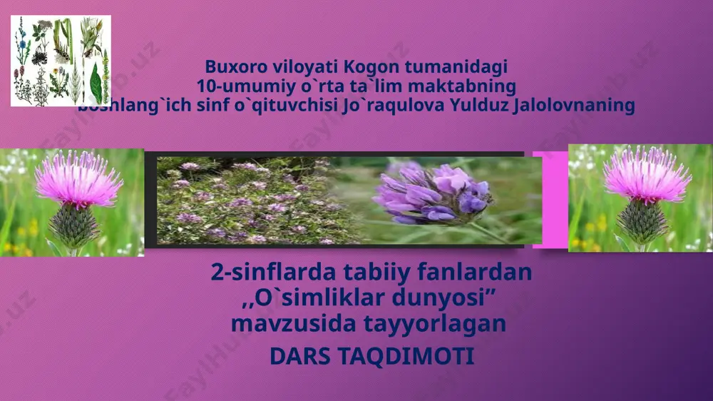 o`simliklar olami. tabiiy fan 2-sinf — PPTX