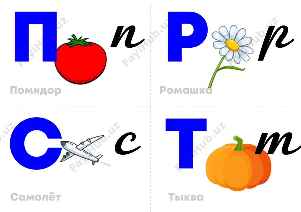 17 — PDF