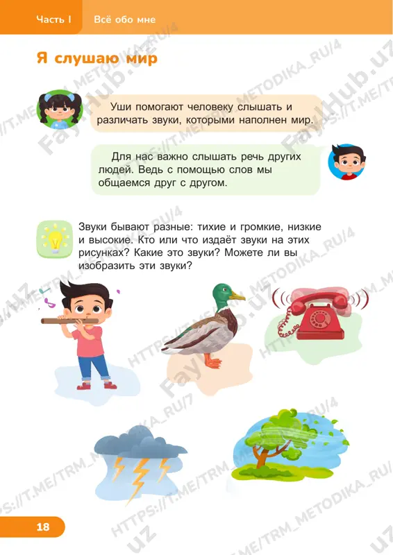 estestvoznanie uchebnik uroki 5-9 — PDF