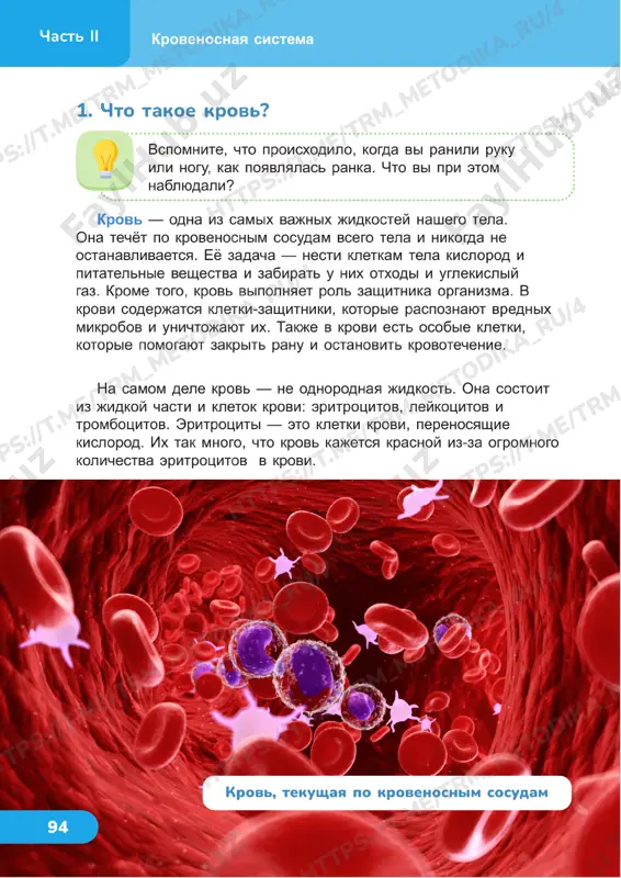 estestvoznanie 4 klass uroki 23_24 — PDF