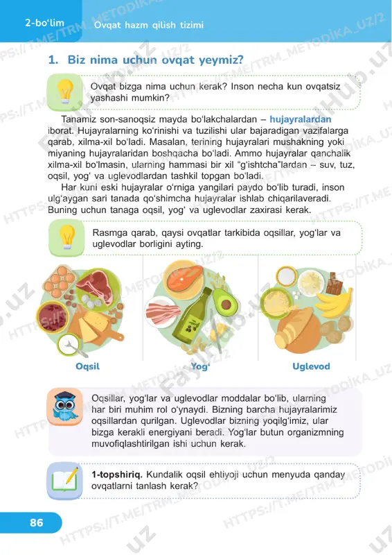 tabiiy fanlar 4 sinf darslik 21-22 dars — PDF