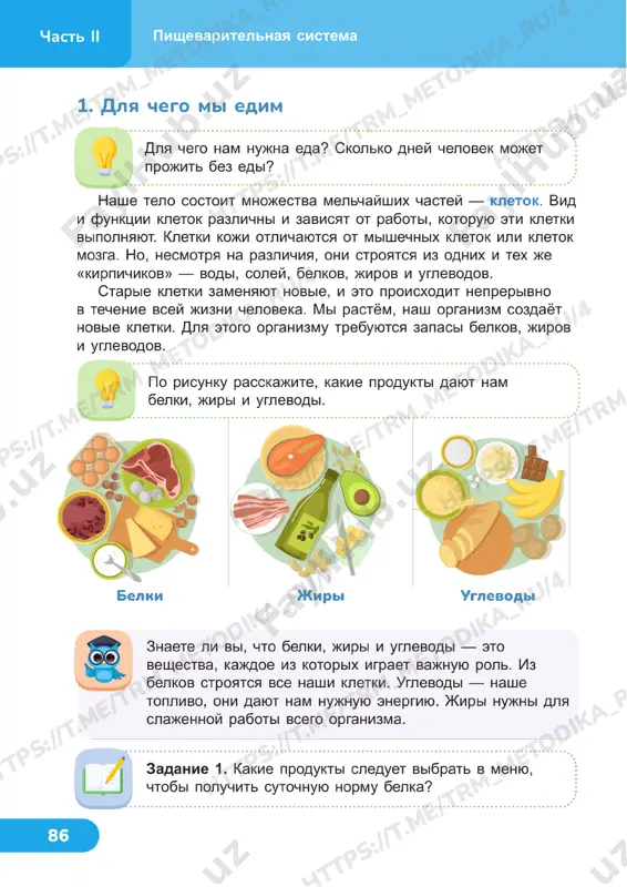 estestvoznanie 4 klass uroki 21_22 — PDF
