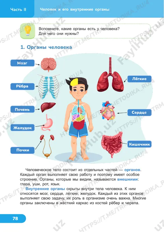 4 klass uchebnik 19-20 uroki — PDF