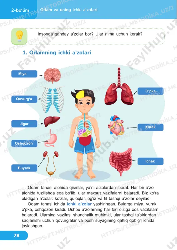 4 sinf tabiiy fan darslik 19-20 dars — PDF