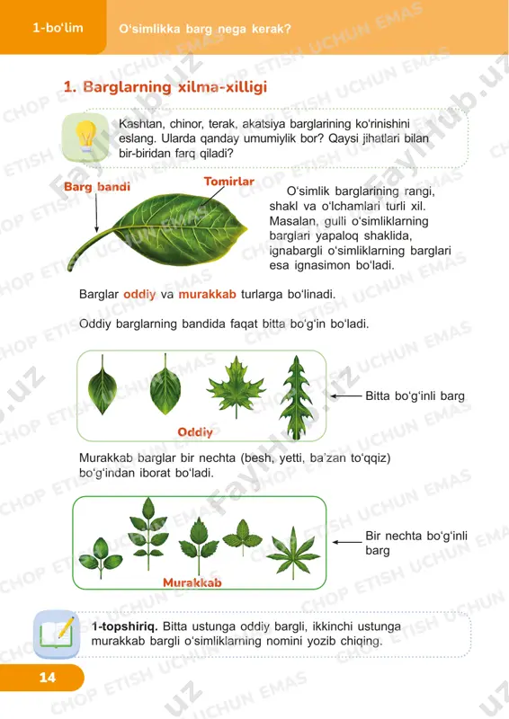 tabiiy fanlar 4 — PDF