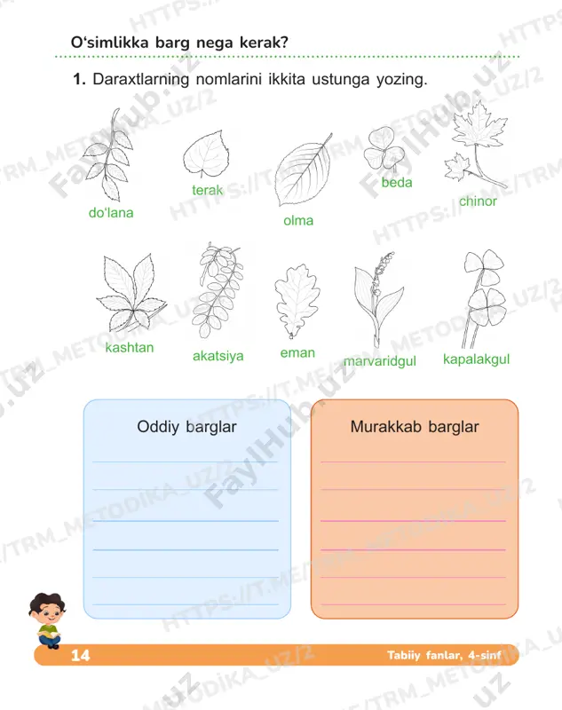 tabiiy fanlar daftari 3_4 dars — PDF