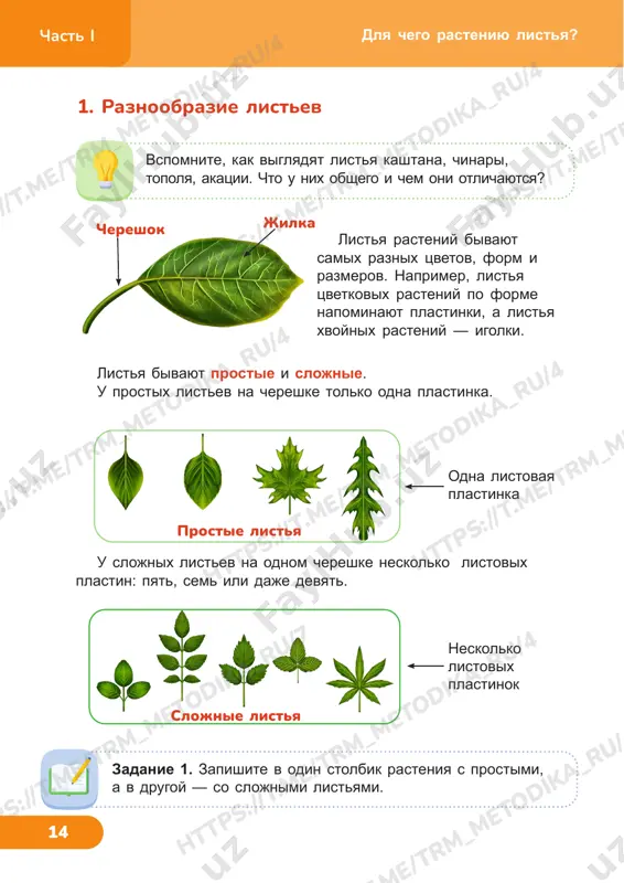 estestvoznanie 4klass 3_4 uroki — PDF